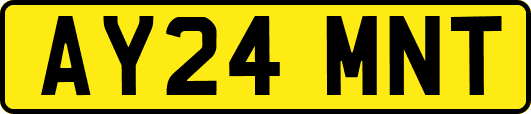 AY24MNT
