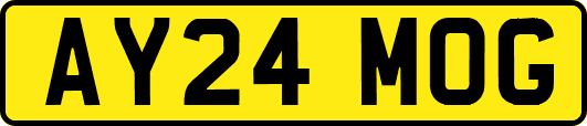 AY24MOG
