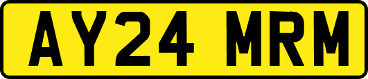 AY24MRM