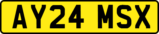 AY24MSX