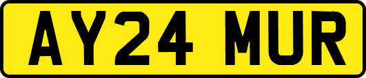 AY24MUR
