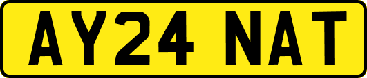 AY24NAT