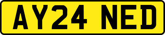 AY24NED