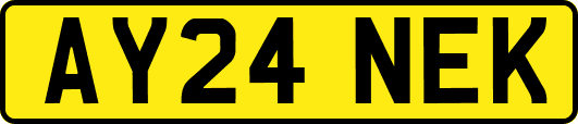 AY24NEK