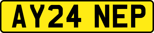 AY24NEP