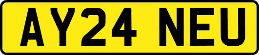 AY24NEU
