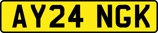 AY24NGK