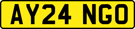 AY24NGO