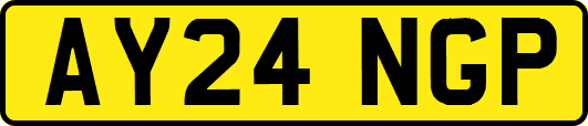 AY24NGP