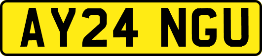 AY24NGU