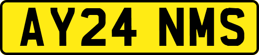 AY24NMS