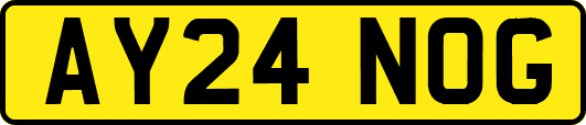 AY24NOG