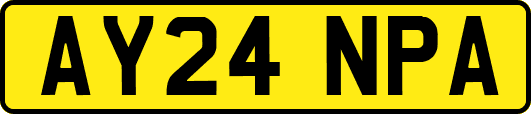 AY24NPA