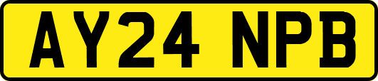 AY24NPB