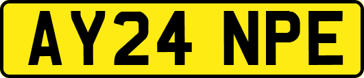AY24NPE
