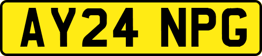 AY24NPG