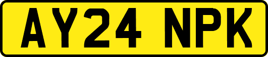 AY24NPK