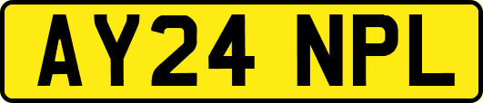 AY24NPL