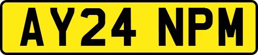 AY24NPM