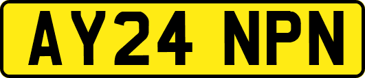 AY24NPN