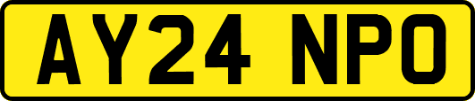 AY24NPO