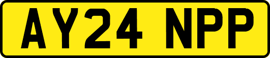 AY24NPP