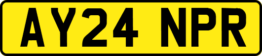 AY24NPR