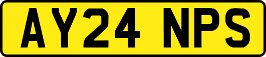 AY24NPS