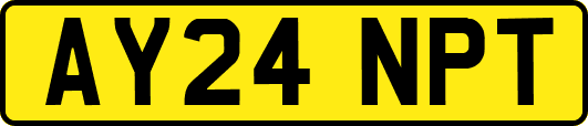 AY24NPT