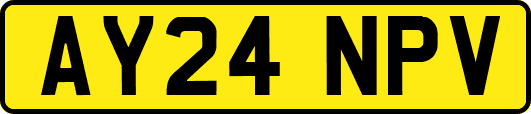 AY24NPV