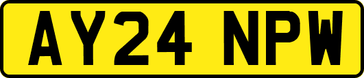 AY24NPW