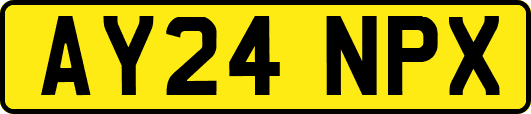 AY24NPX