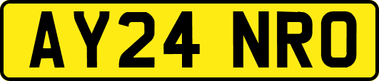 AY24NRO