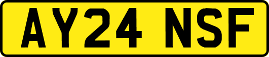 AY24NSF