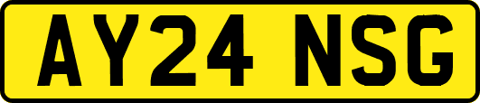 AY24NSG
