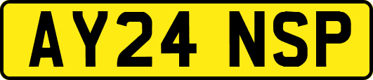 AY24NSP