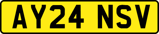 AY24NSV