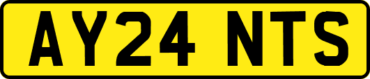 AY24NTS