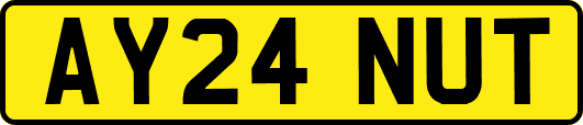 AY24NUT