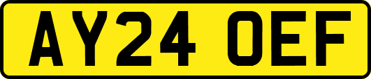 AY24OEF
