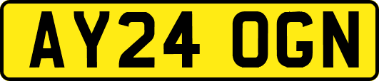 AY24OGN