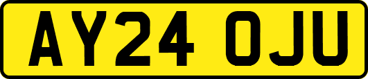 AY24OJU
