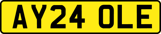 AY24OLE