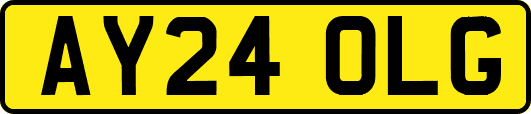 AY24OLG