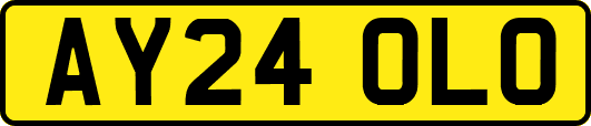 AY24OLO