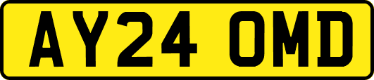 AY24OMD