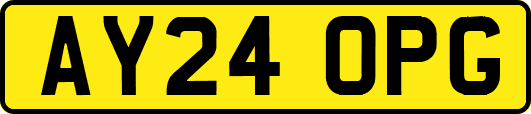 AY24OPG