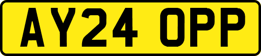 AY24OPP