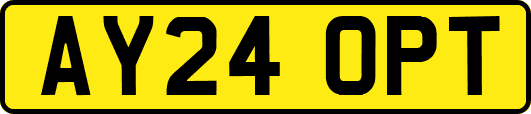 AY24OPT