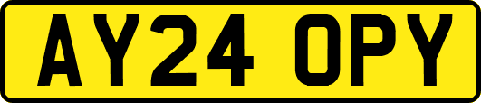 AY24OPY